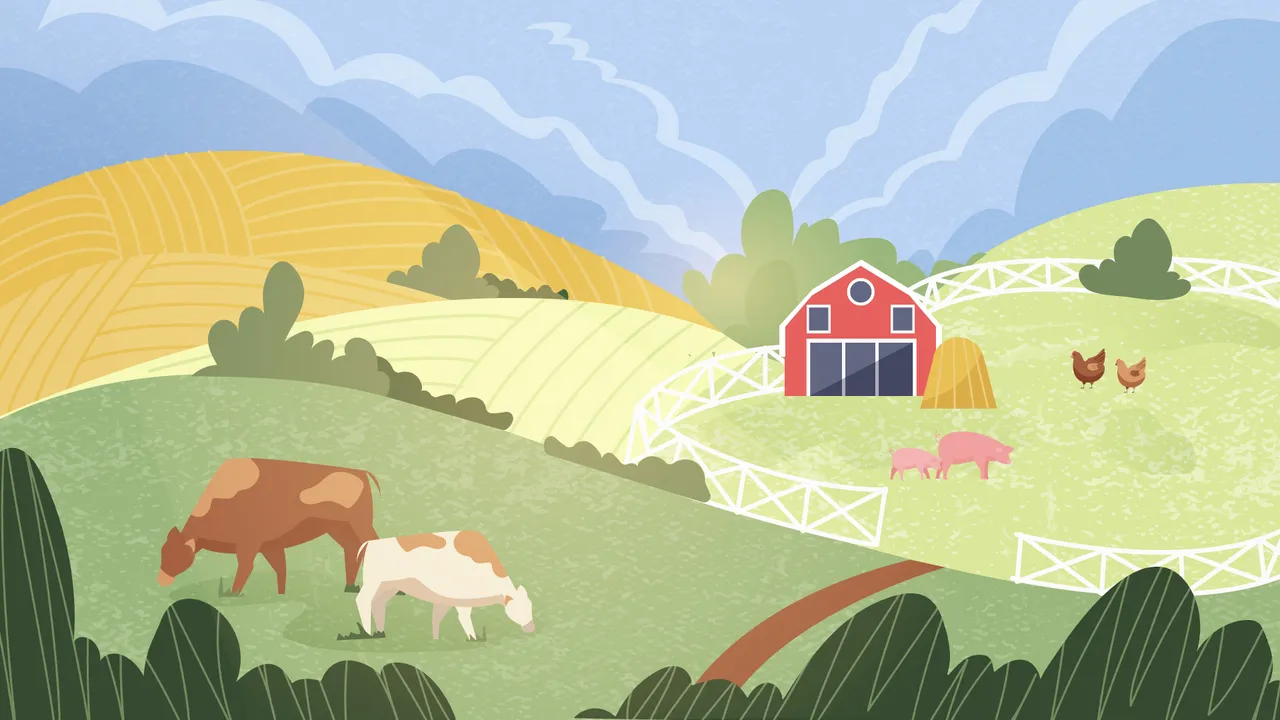 custom 2D animation services